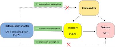 Positive association between omega-3/6 polyunsaturated fatty acids and idiopathic normal pressure hydrocephalus: a mendelian randomization study